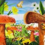 mushroom_garden